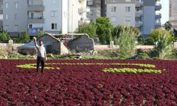 Marullarla Yapılan Türk Bayrağı Görenleri Hayran Bıraktı