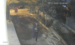 Mahalle Mahalle Dolaşıp Tavuk Çaldı: Şüpheli Tutuklandı