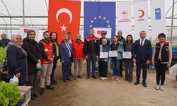 Adana’da Topraksız Marul Yetiştiriciliği