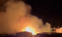 Mersin’de sazlık alandaki yangın söndürüldü: Bir sera zarar gördü