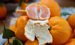 Üreticide 3, Pazarda 5 Lira: Mandalina En Ucuz Meyve Oldu