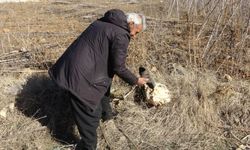 Davranışıyla Duygulandırmıştı: "Yine Olsa Yine Yaparım” Dedi
