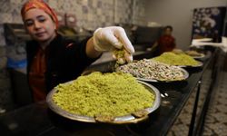 Ucuz Fıstık Alayım Derken Sağlığınızdan Olmayın