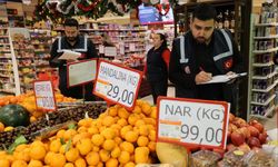 Adana'da Yılbaşı Öncesi Eş Zamanlı Denetim