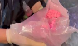 Pendik’te Uyuşturucu Operasyonu: 19 Bin 800 Hap Ele Geçirildi