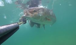 Mersin’de Zıpkıncılar Yeni Düzenlemeye Hazırlanıyor