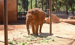 Fatma Şahin’den CHP’li Başarır’a yalanlama