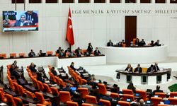 Bütçe Görüşmeleri Sürerken Genel Kurul'da 'Leyla Zana' Kınaması