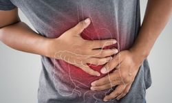 Bağırsak Florasındaki Dengesizlik Hastalıklara Zemin Hazırlıyor