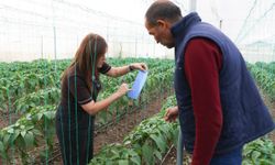 Mersin Büyükşehir’den Üreticilere Sera İpi ve Yapışkanlı Tuzak Desteği