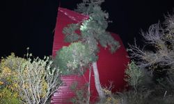 Mersin'de Fırtına Evi Çatıdan Etti, Asırlık Meşe Devrildi