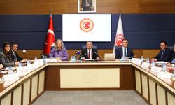 Dışişleri Komisyonu Başkanı Oktay: SDG'nin Suriye'yle bütünleşmesi kritik önem taşımaya devam etmektedir