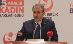 Destici: Türkiye’de kadın üniversiteleri kurulmalıdır