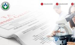 Yemlerin Piyasaya Arzı Ve Kullanımı Hakkında Yönetmelikte Düzenlemeye Gidildi