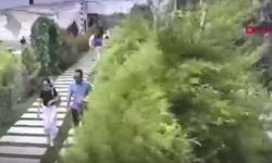 Kahvaltı Organizasyonu Ölümle Bitti