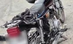 Mersin’de Trafik Denetimi: 44 Araç Trafikten Men Edildi, Ağır Para Cezaları Uygulandı