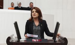 CHP Mersin Milletvekili Gülcan Kış’tan Asgari Ücret Tepkisi