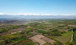 Mersin'de Değerinden Ucuza Tarla Satılacak: Devlet Dairesi Bu Rakamı Belirledi