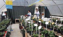 Adana'da Öğrenciler Kışa Rağmen Uygulamalı Tarım Eğitimi Alıyor