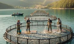 Su ürünleri desteği için başvurular 19 Aralık’ta bitiyor