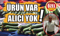 Üretim rekor kırdı fakat alıcı yok: Bölge çiftçisi çözüm bekliyor