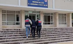 Jandarma Ekipleri Uzun Zamandır Aranan Suçluyu Yakaladı