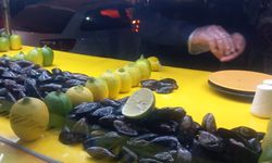 Mersin’de "Soğuk Havada Sıcak Midye Molası