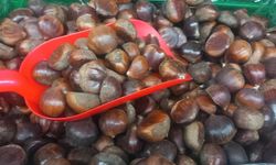 Yılbaşı Klasiği Kestanede Hareketlilik