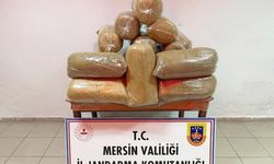 Mersin'de 100 Kilo Kaçak Tütün Ele Geçirildi