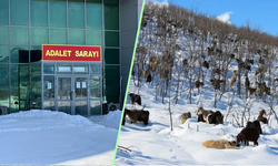 Sahte Dekont Vurgunu: Besiciyi 650 Bin Lira Dolandıran Şüpheli Cezaevinde