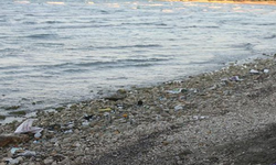 İzmir Sahilinde Acı Manzara: Çocuk Cesedi