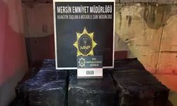 Bakan Yerlikaya Duyurdu: Mersin Limanı'nda 298 kilo kokain ele geçirildi