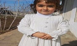 Sokak Köpeklerinin Saldırısına Uğrayan 4 Yaşındaki Nazlı Ağır Yaralandı