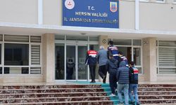 Jandarmadan Terör Örgütüne Darbe