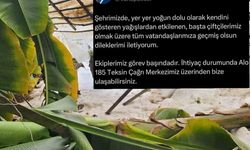 Seçer: "Tüm Ekiplerimizle Çiftçimizin Yanındayız"