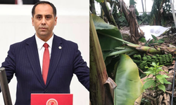 Ali Kıratlı: "Ekiplerimiz Hasar Tespiti İçin Sahada"