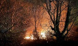 Filyos’ta ağaçlık alanda çıkan yangın korkuttu