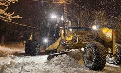 Tarsus Belediyesi'nden Kar Mesaisi
