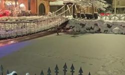 Göl dondu, ördekler yüzemeyince yürümeye başladı