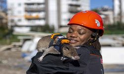 Sırt Çantalı 'Kahraman Fareler' Enkazda Yaşam İzi Sürecek