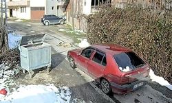 Yolda Yatarken Otomobilin Ezdiği Köpeğin, Daha Önce Tüfekle De Vurulduğu Ortaya Çıktı