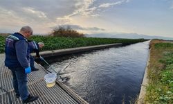 2025'te Çevreyi Kirleten 6 Bin 977 Tesise Yaklaşık 4 Milyon Lira Ceza