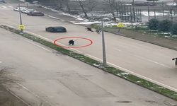 Kar Topu Oyunu Kabusa Döndü: Şoför Çocukları Sopayla Kovaladı