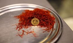 Kilosu 900 Bin Lira! ‘Kırmızı Altın’ Safranda Taklit Tehlikesi