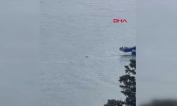 İstanbul Boğaz'ında Ceset Bulundu: Kaybolan Rus Yüzücüye Ait Olabileceği Değerlendiriliyor