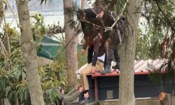 Kafeteryada Silahlı Saldırı: 1 Ölü