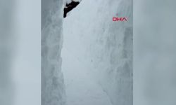 2 Metrelik Karla Mücadele: Ev ile Ahır Arasında Tünel Açtı