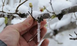 Mersin'de Don ve Buzlanma Alarmı: Sıcaklık 2 Dereceye Kadar Düşecek