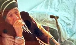 Torun Dehşeti: ‘Gezmeye’ Diye Çıkardığı Anneannesini Öldürdü