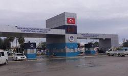 Mersin Halinde Bugün En Ucuz Ürün 13 Liradan Satıldı